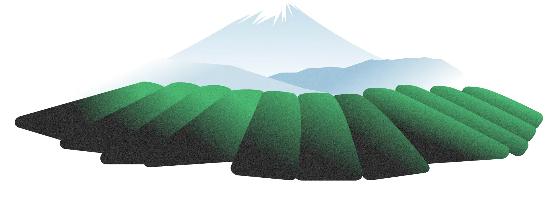 Mount Fuji and Tea Fields